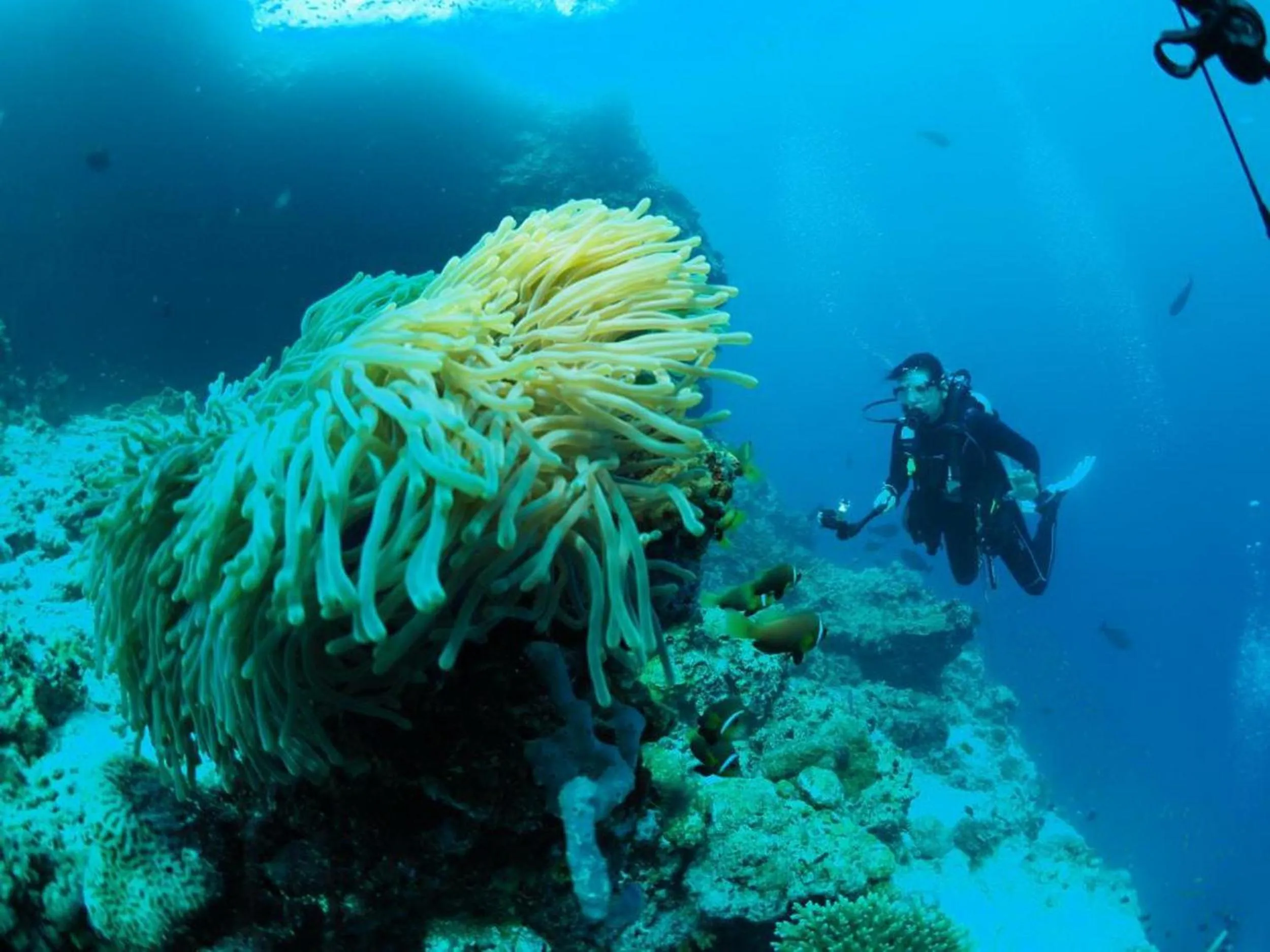 People in Adroit Beach Inn