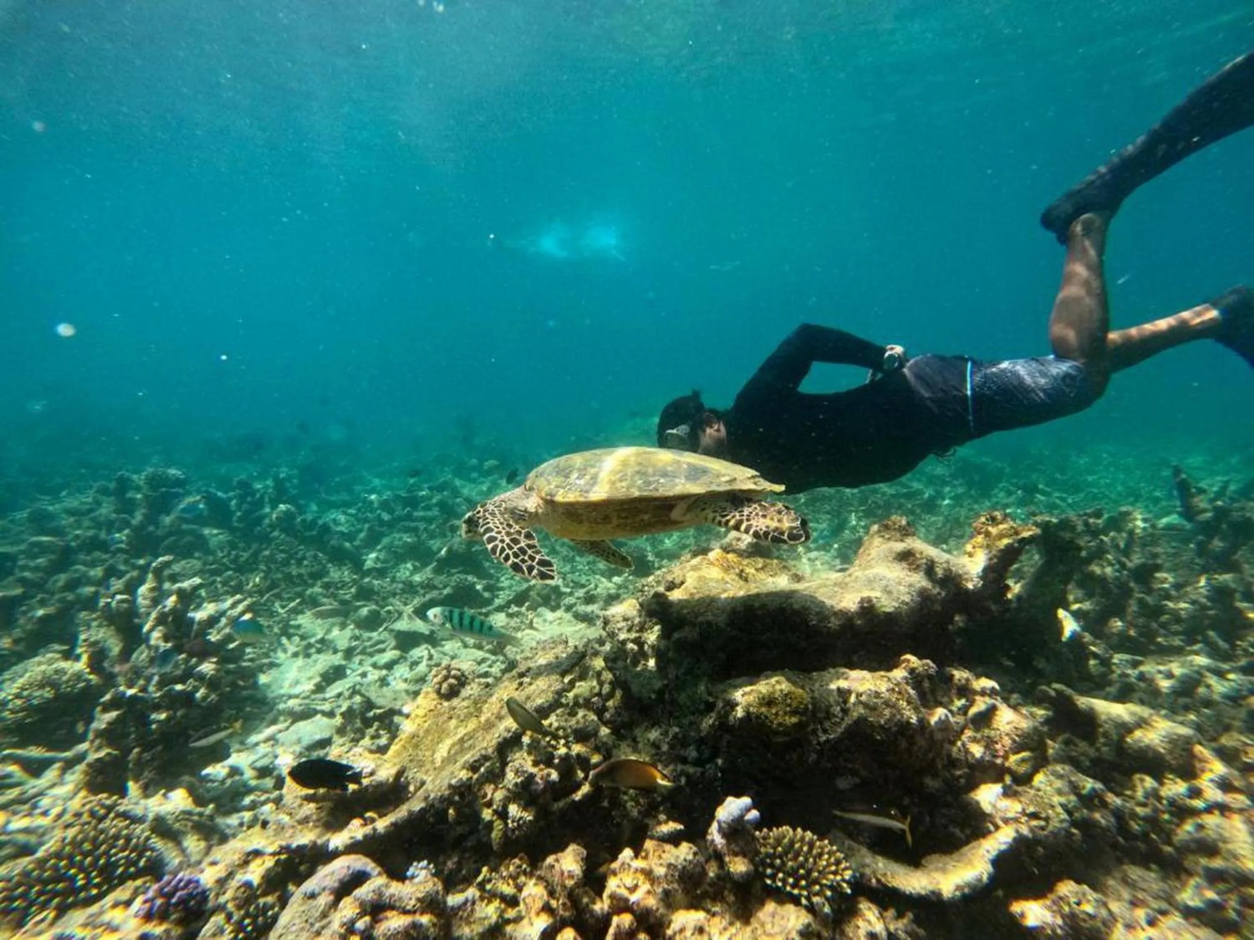 People in Adroit Beach Inn