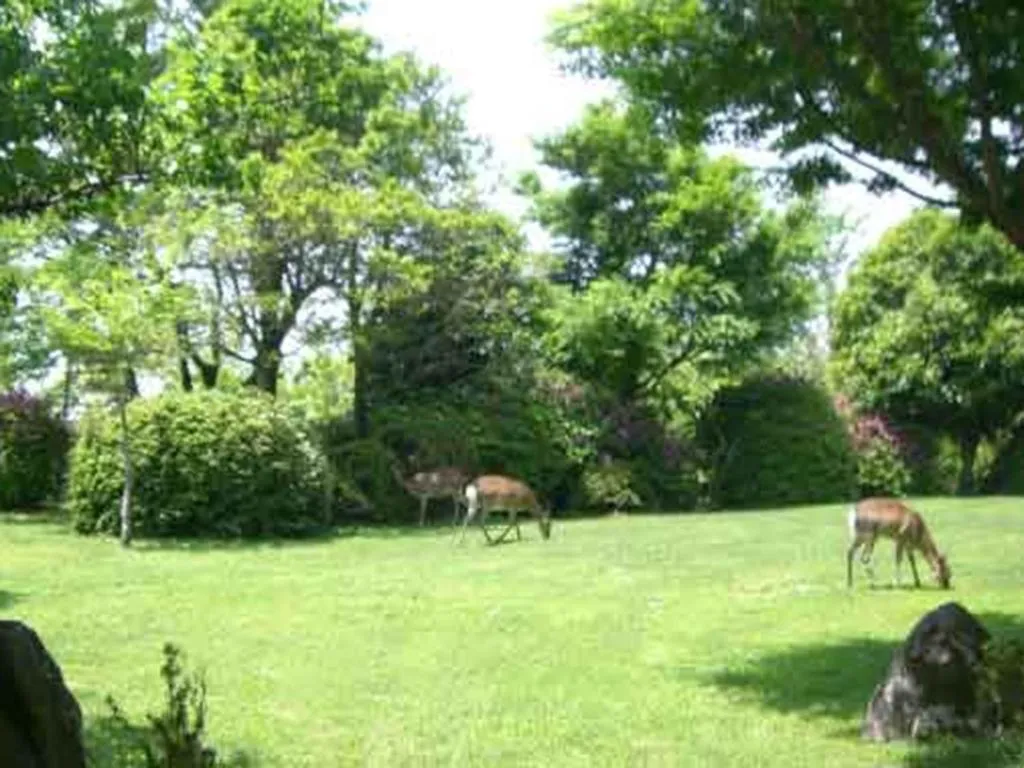 Kirishima Onsen Ryokojin Sanso