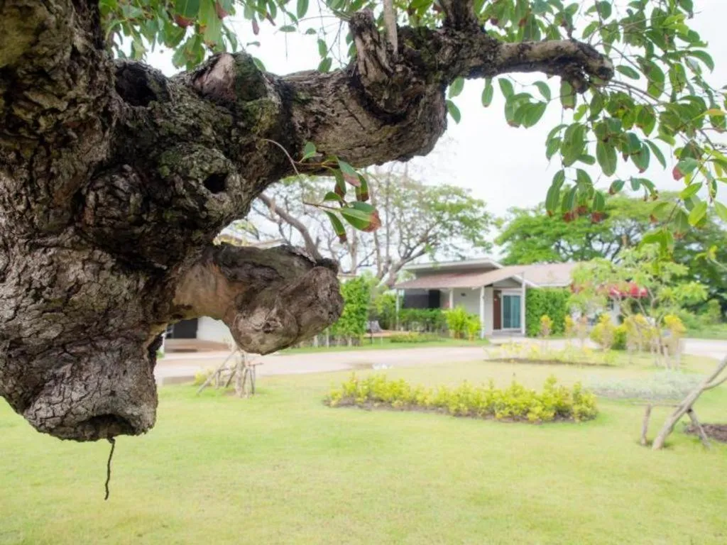 Baan Kula Mahasarakam