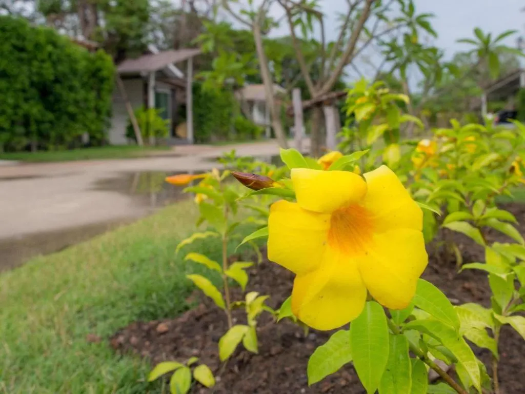 Baan Kula Mahasarakam