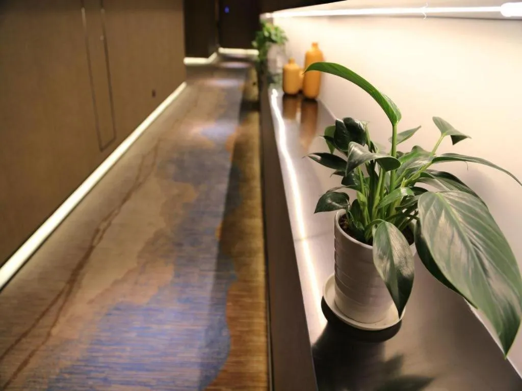 Qingdao Elegance Hotel