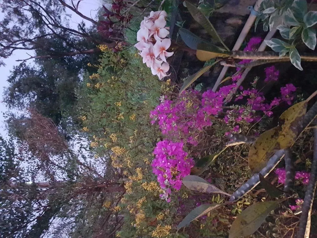 Theloft boutique nakhonpanom