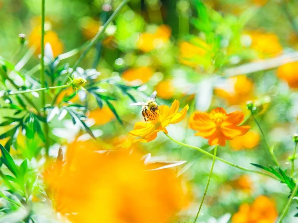 Yufuin Tsukahara Villa ERINA