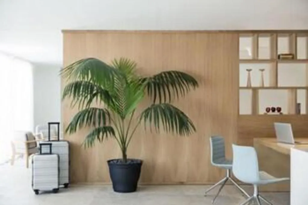 Finest Playa Mujeres - All Inclusive