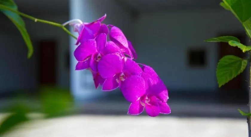 TAWANCHAY HOTEL PHATTHALUNG