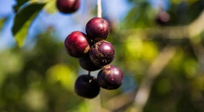 TAWANCHAY HOTEL PHATTHALUNG