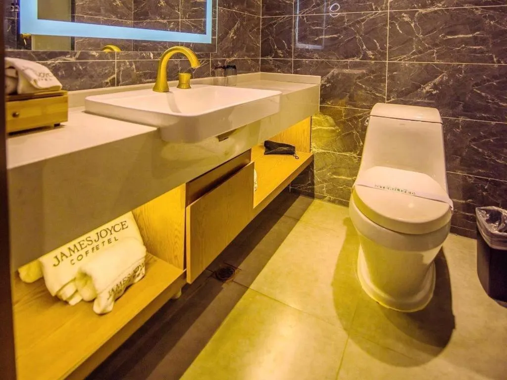 James Joyce Coffetel Xinyang Xixian Longhu Huayi