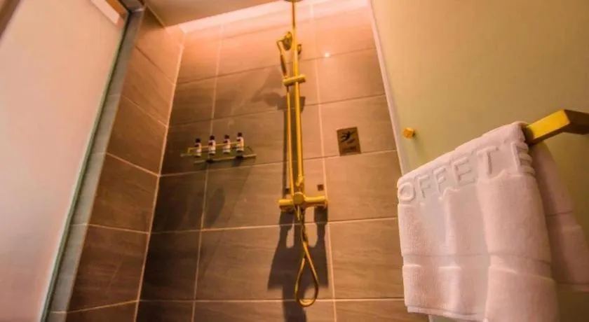 James Joyce Coffetel Xinyang Xixian Longhu Huayi