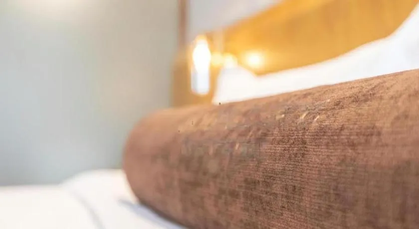 Bed in James Joyce Coffetel Shijiazhuang Century Park Shiji Huamao