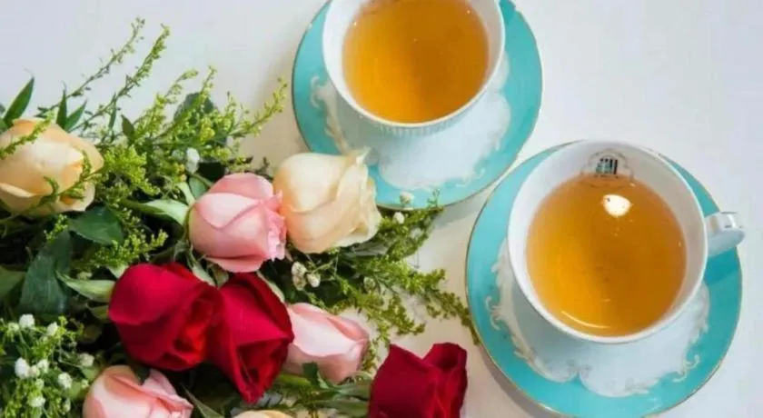 Xana Lite Jiangmen Yingbin West