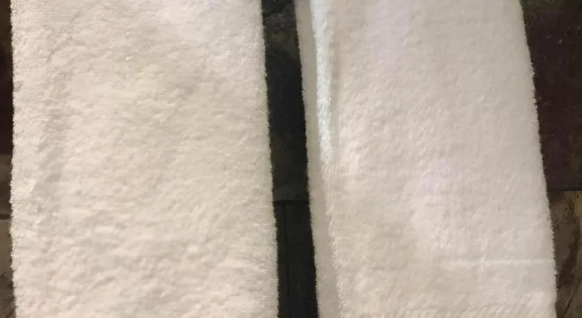 Leisurely Hotel Shenzhen