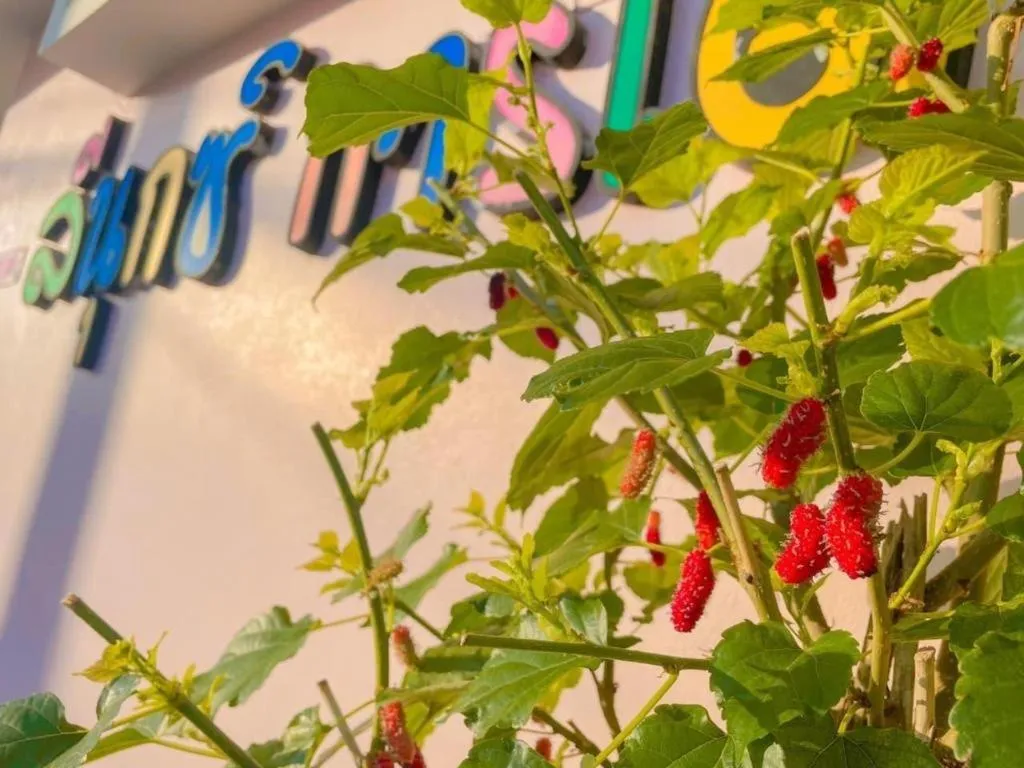 The Linux Garden Hotel (City Amphur Muang Yala)