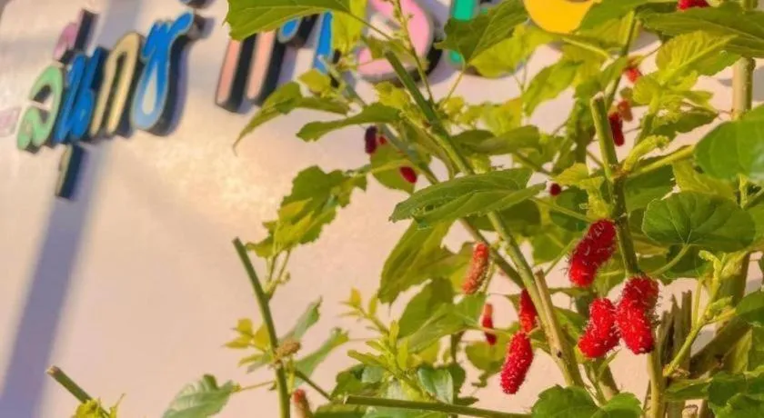 The Linux Garden Hotel (City Amphur Muang Yala)