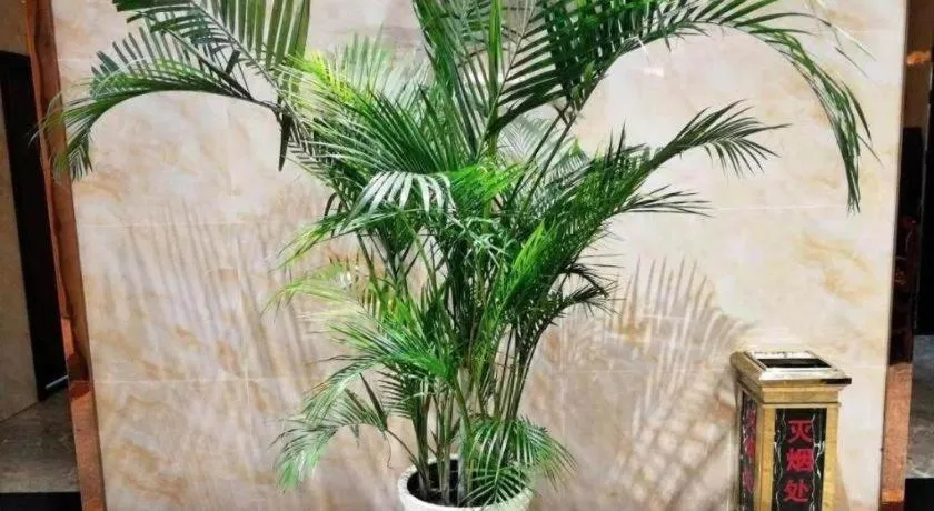 7Days Premium Yichang Railway Station East