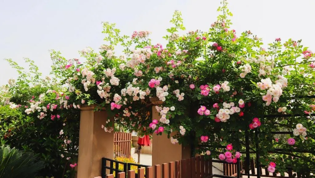 Swisstouches Hotel Ankang