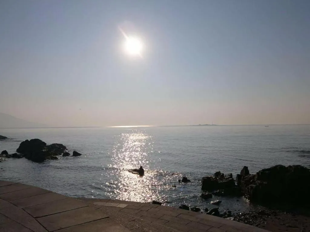 7 Days Premium Qingdao World of Ocean Qingdao University