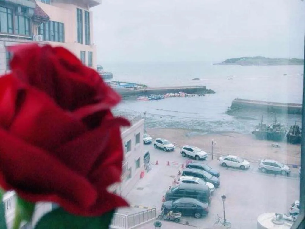 7 Days Premium Qingdao World of Ocean Qingdao University