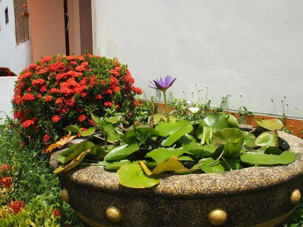 New Home Nakhon Chai Si