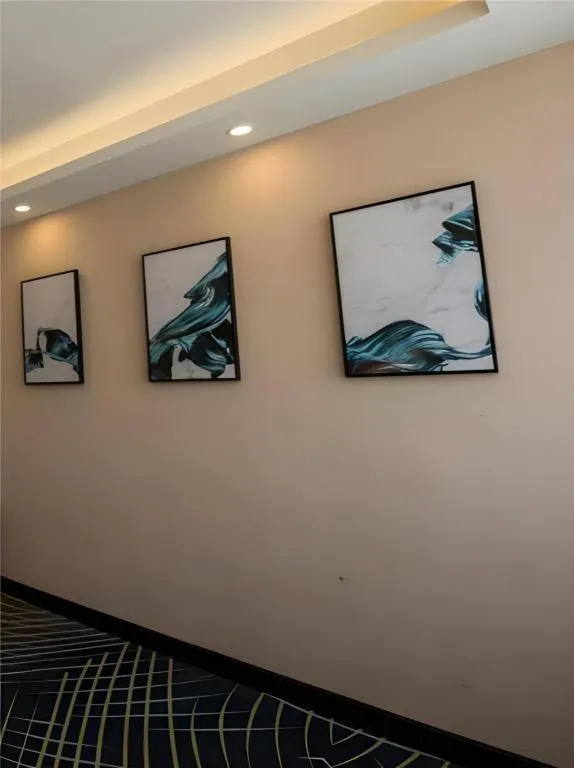 Borrman Hotel Hefei Guogou Plaza Sanli'an Metro Station