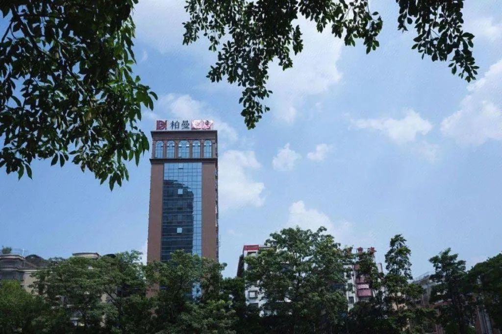 Borrman Hotel Puning International Commodity City Wantaihui