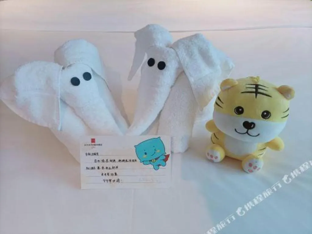 Echarm Plus Hotel Changsha High-speed Railway South Station Desiqin