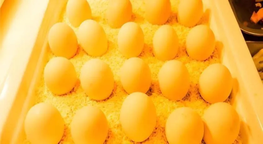 City Comfort Inn Hechi Yizhou Bus Terminal