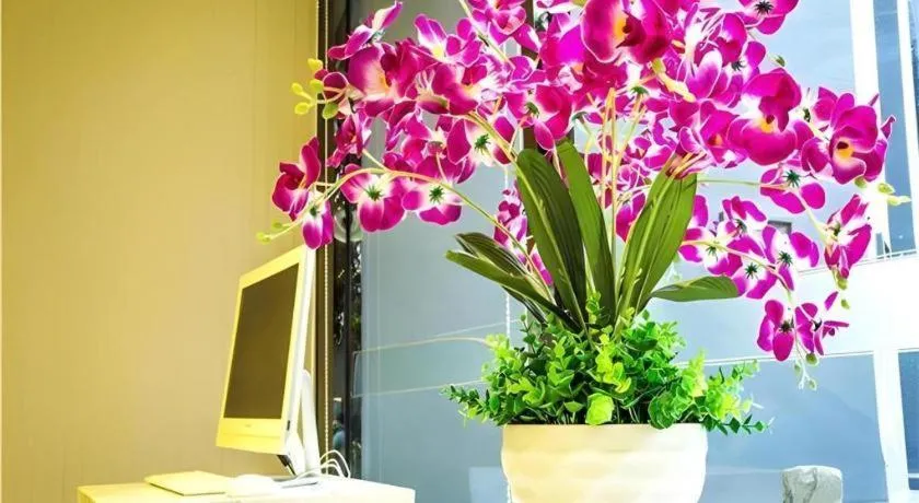 City Comfort Inn Wuzhou Bus Station