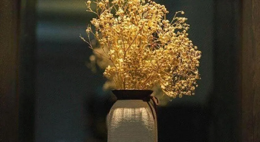 Xana Hotelle· Wulumuqi High Speed Railway Station Baonengcheng