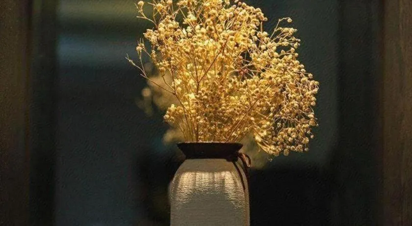 Xana Hotelle· Wulumuqi High Speed Railway Station Baonengcheng