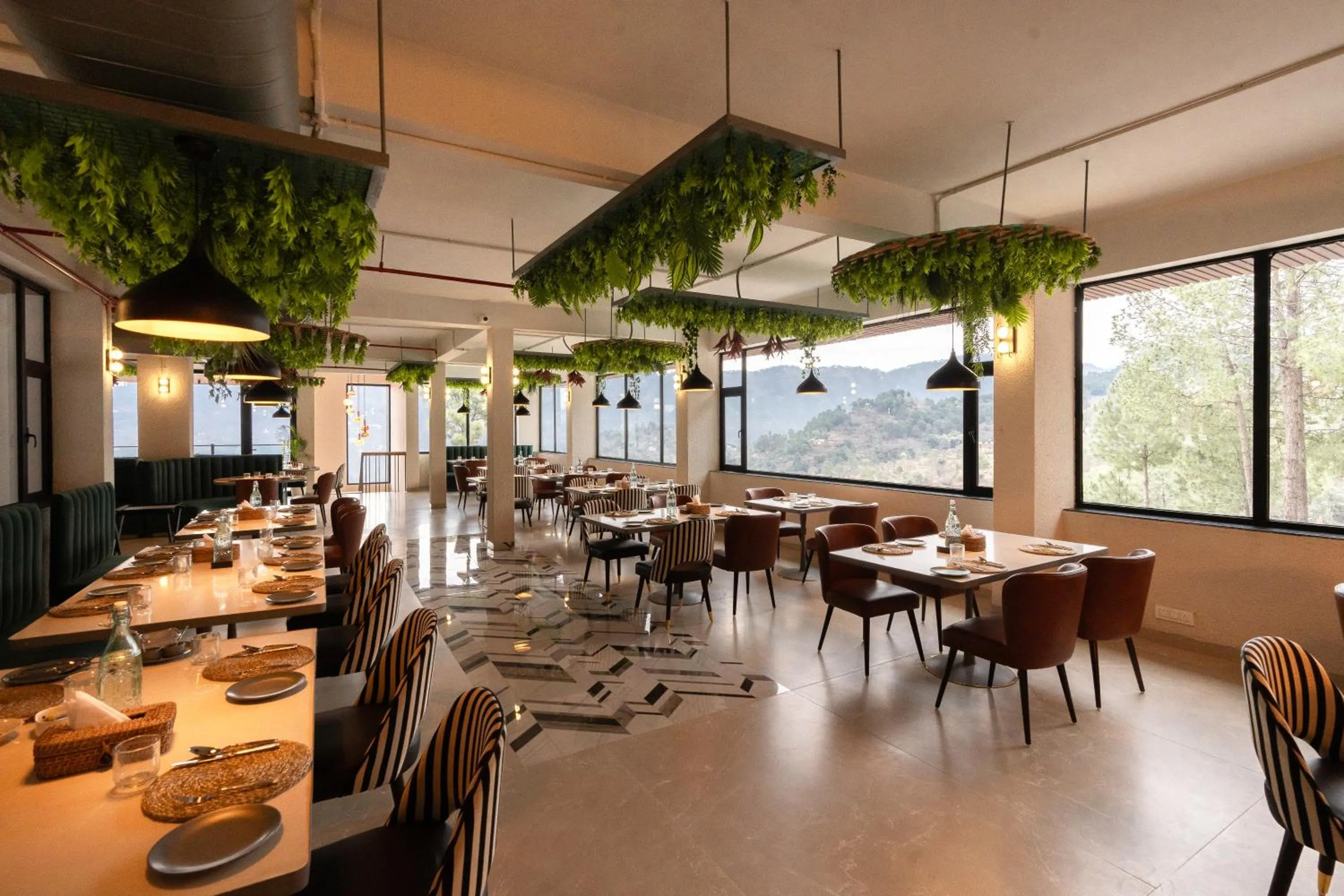 Restaurant/places to eat in Velmore Kasauli Operated by Royal Orchid Hotel Ltd.