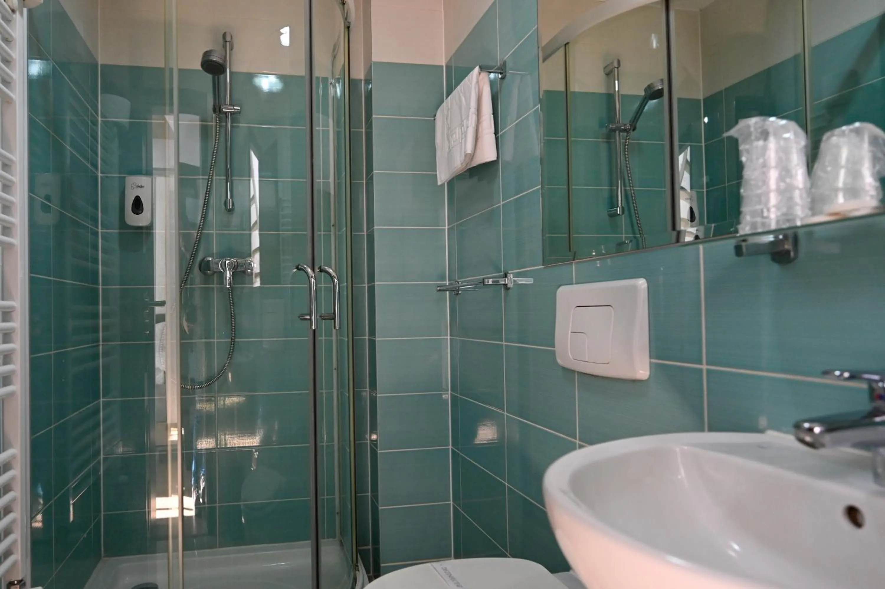 Toilet in Casa EMA Pensiune & SPA