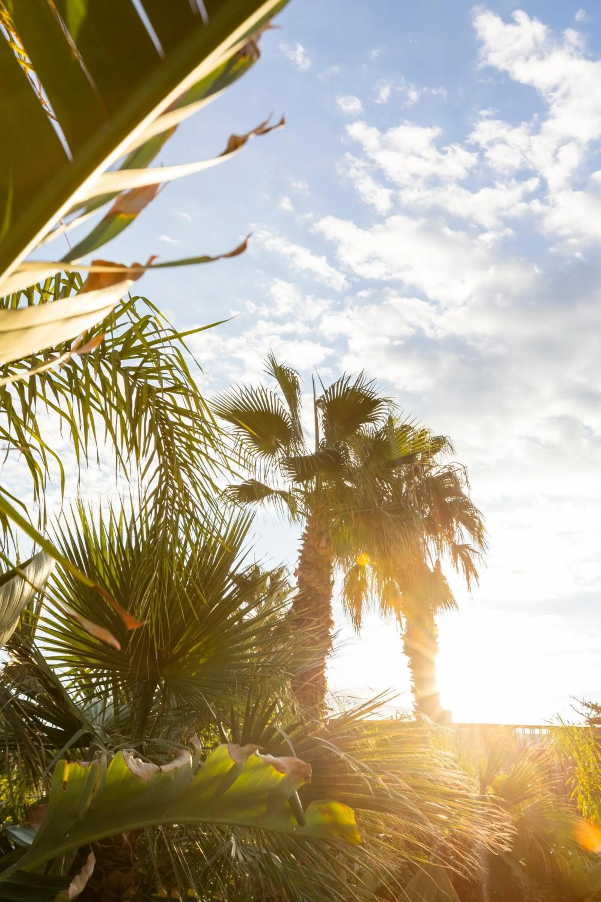 Albades Hotel & Spa - Adults Only - 4 Star Superior