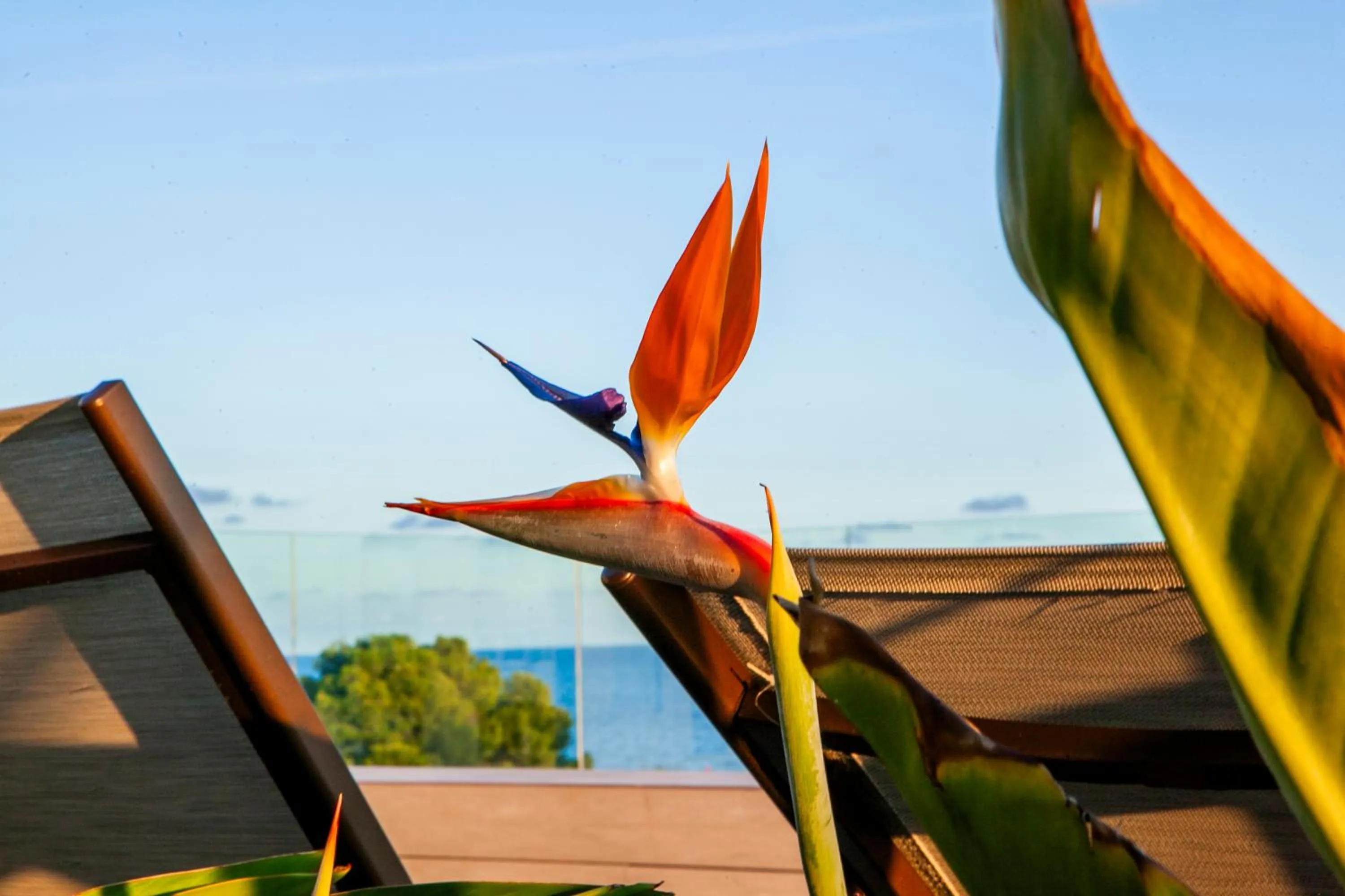 Albades Hotel & Spa - Adults Only - 4 Star Superior