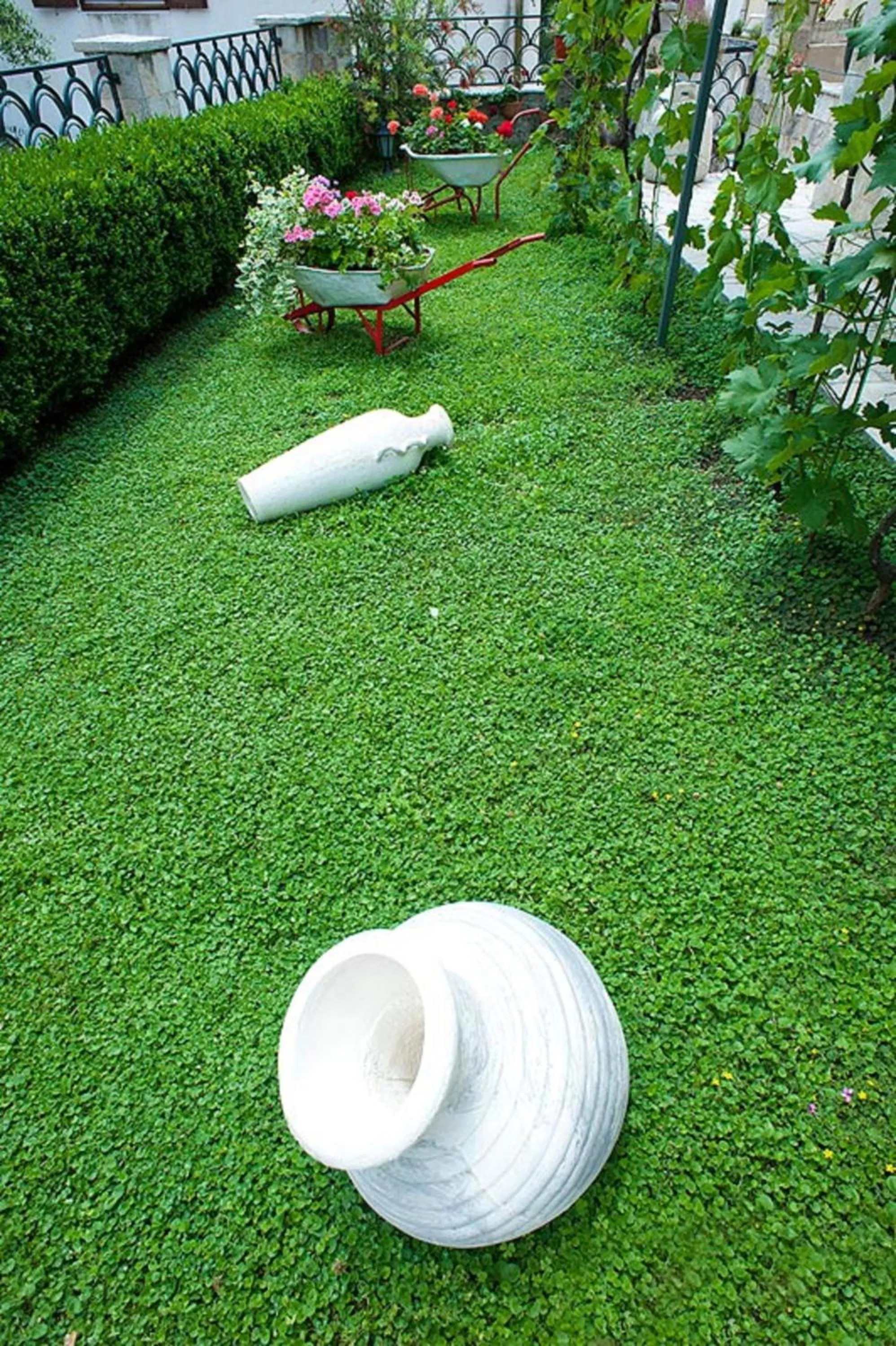 Patio in Guest House Medin