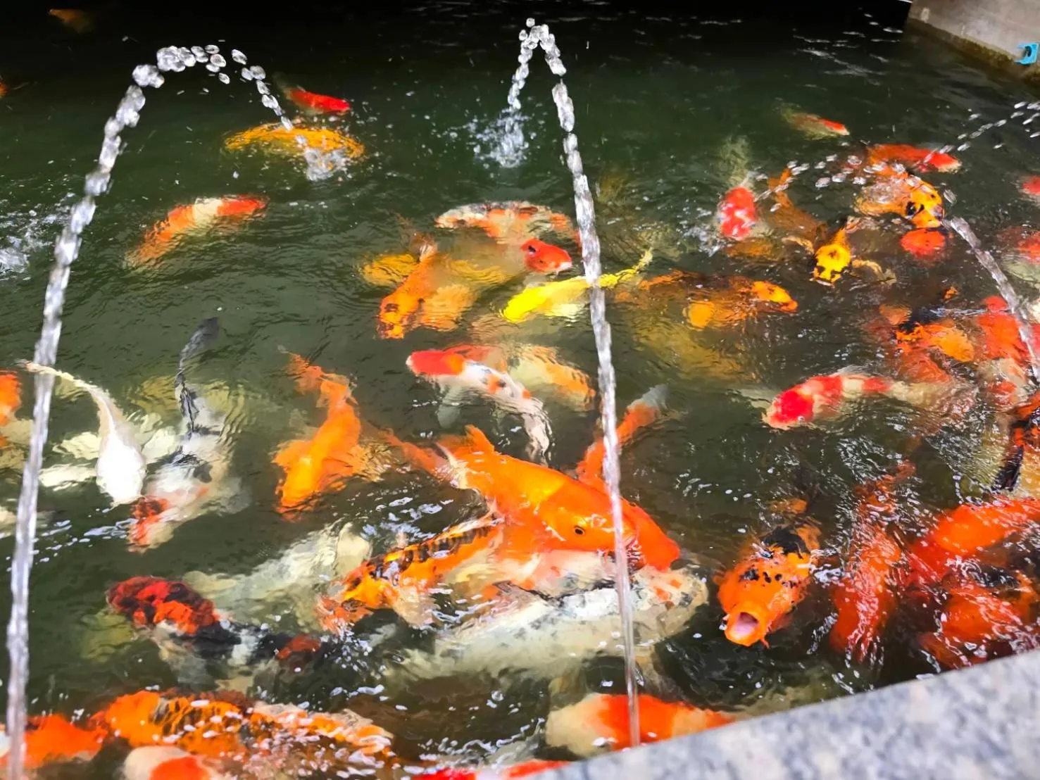 Garden view in The Bua Boutique Resort