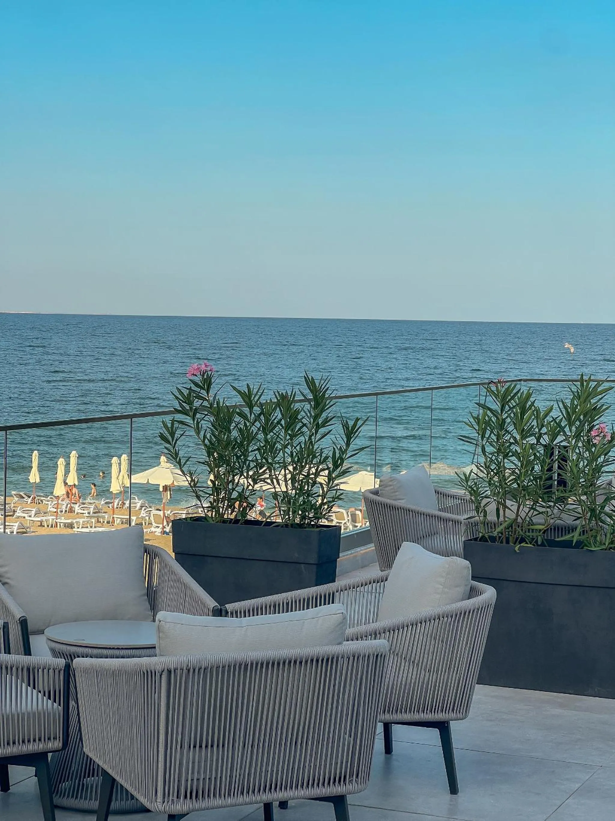 Restaurant/places to eat in GRIFID Noa