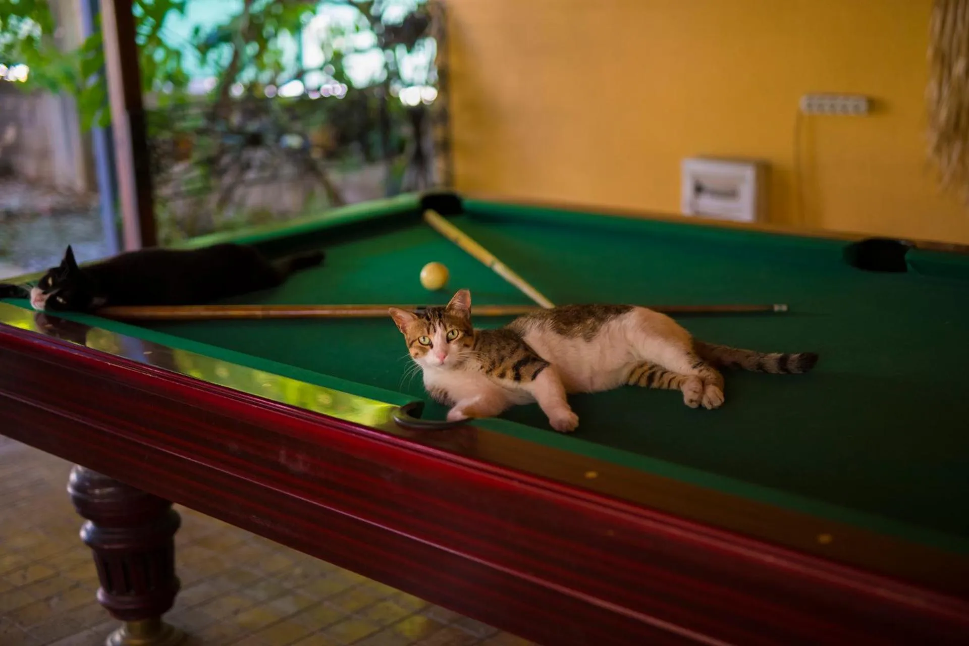 Billiard in Akkent Garden Hotel