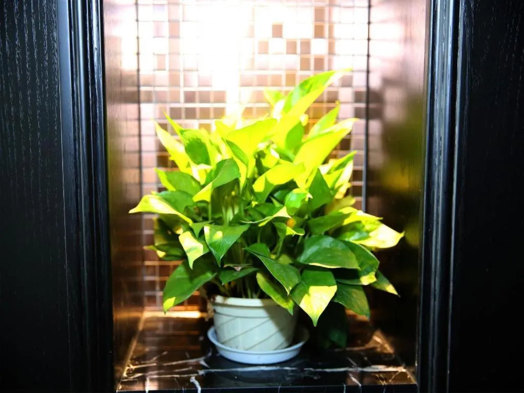 Xana Hotelle Nanchang Hongdu Middle Avenue Provincial TV Station