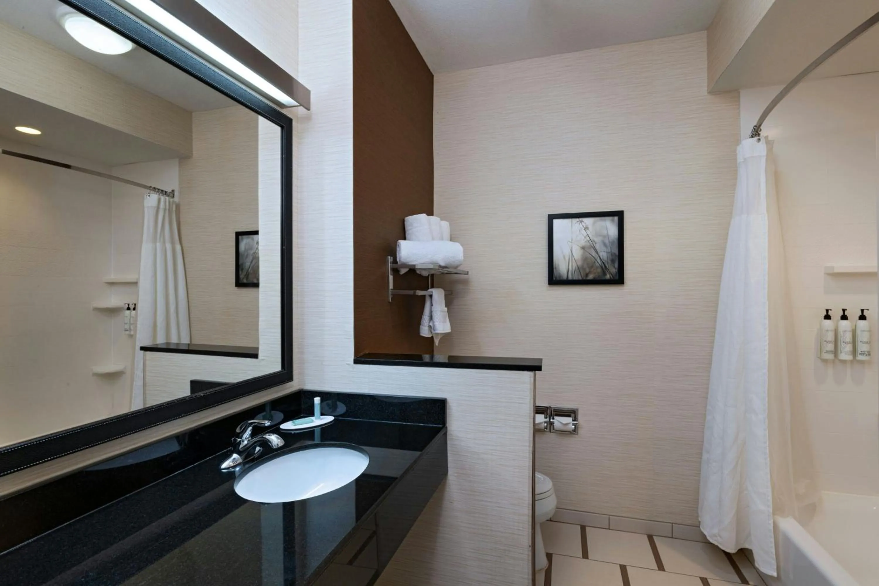 Bathroom in Fairfield Inn & Suites by Marriott Fredericksburg Texas
