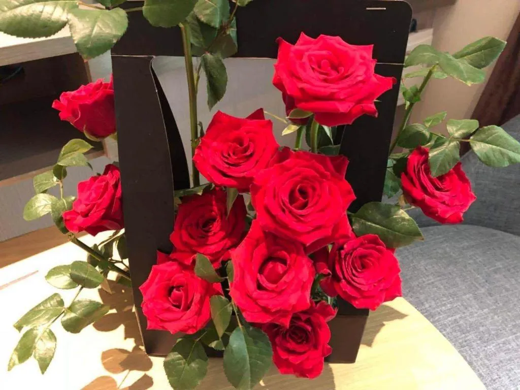 City Comfort Inn Qingyuan City Plaza Hefu Dongcheng