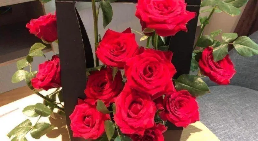 City Comfort Inn Qingyuan City Plaza Hefu Dongcheng