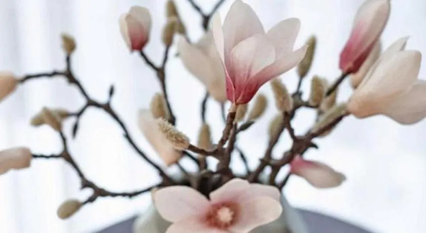 Magnotel Hotel Guangyuan Nanhe Bus Station Beijing Road