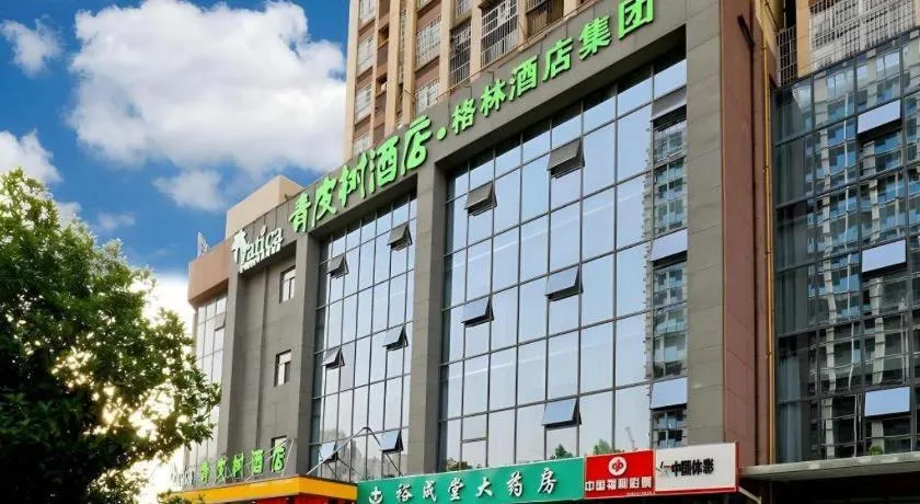 Vatica Hotel Hefei Yaohai Longgang Subway Station