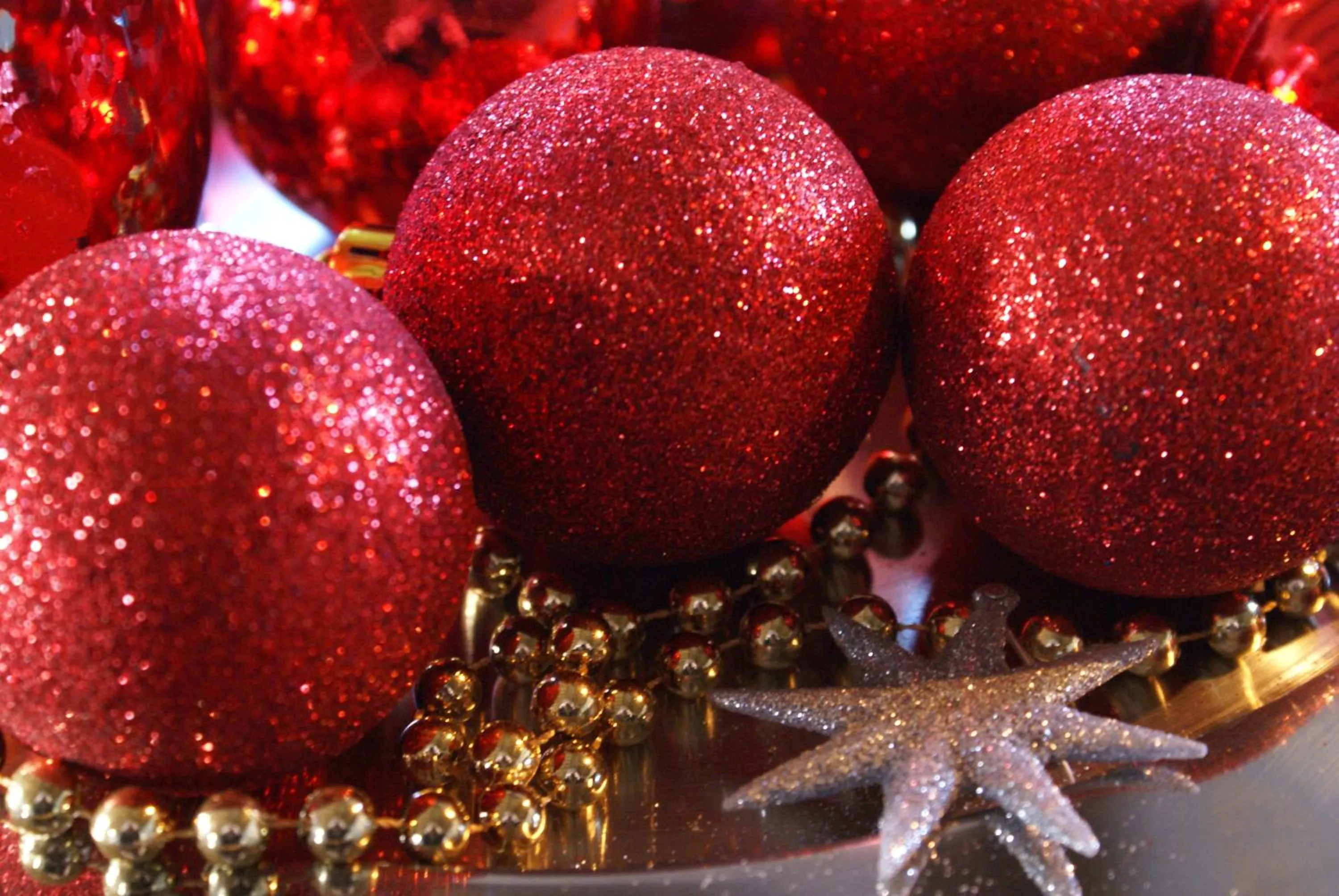 Winter in De Heerlijkheid Ruinerwold