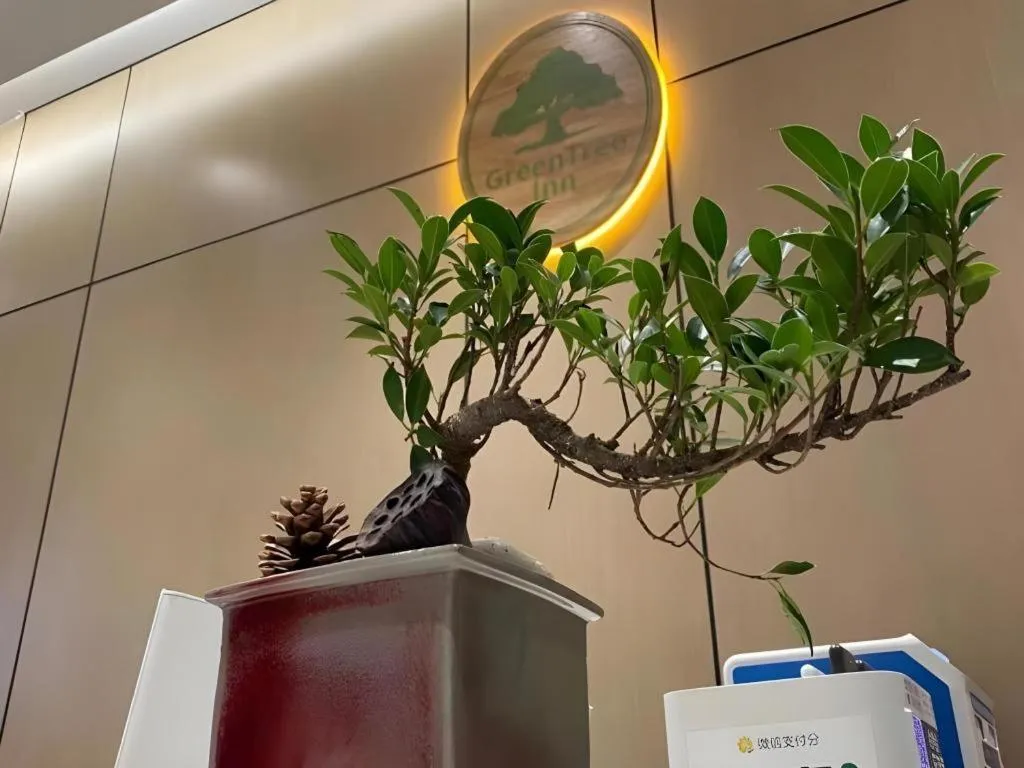 GreenTree Inn Luoyang Railway Station Wangfujing Wangcheng Park