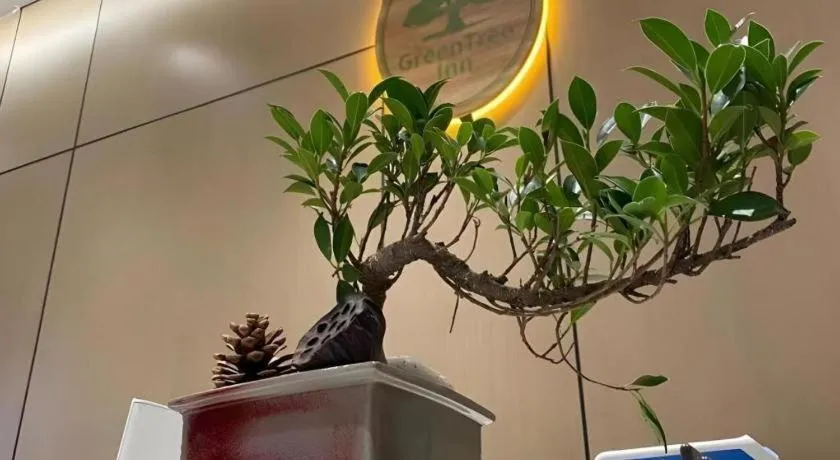 GreenTree Inn Luoyang Railway Station Wangfujing Wangcheng Park