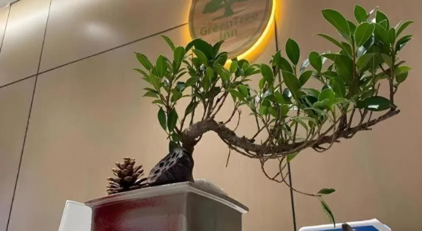 GreenTree Inn Luoyang Railway Station Wangfujing Wangcheng Park