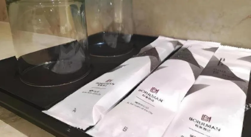 Borrman Hotel Liuzhou High-Speed Railway Station