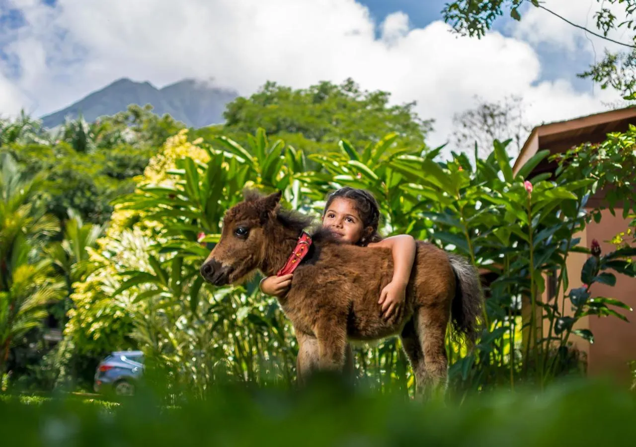 Animals in Hotel El Silencio del Campo
